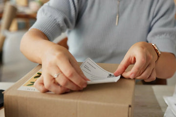 Exploring the Convenience of Free Same-Day Shipping in Online Healthcare Retail