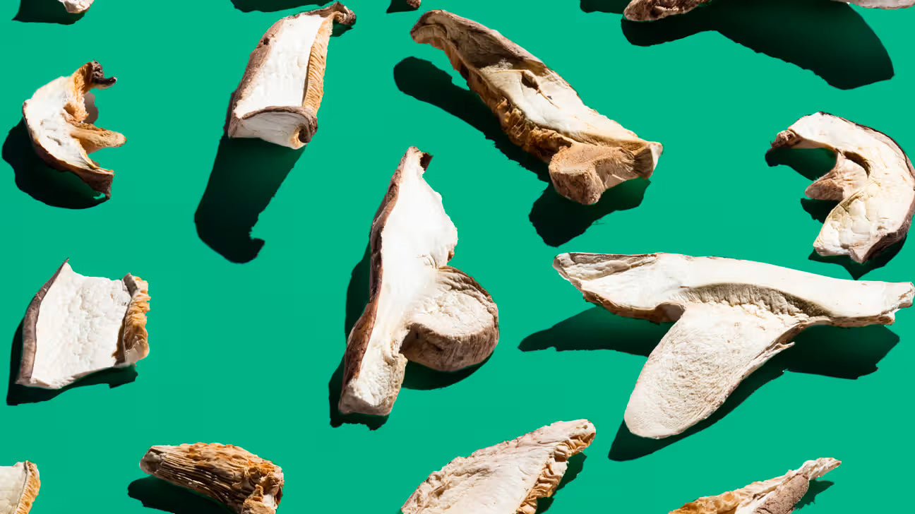 Plant-Based Sources of B12 Explored for Vegetarian Nutrition