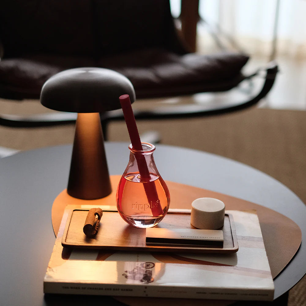 Aromatherapy Diffusers See Increased Adoption in Wellness Routines