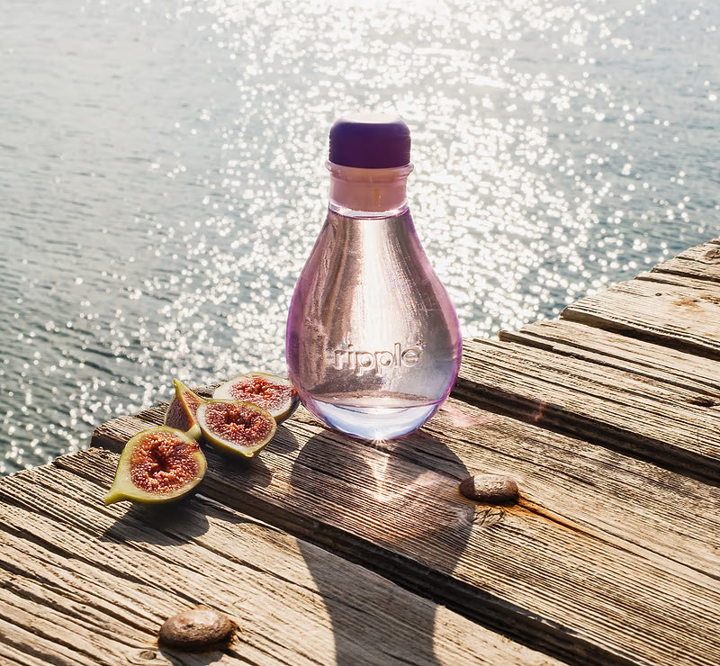 Aromatherapy Diffusers Gain Popularity in Home Wellness – Pharmalynk ...