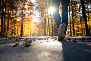 The Impact of Seasonal Wellness Trends on Online Health Sales