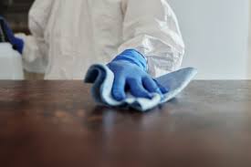 Disposable Vinyl Gloves Meet Rising Demand for Home and Professional Safety