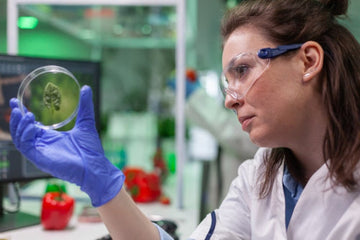 Scientists Investigate Glutathione's Role in Cellular Processes