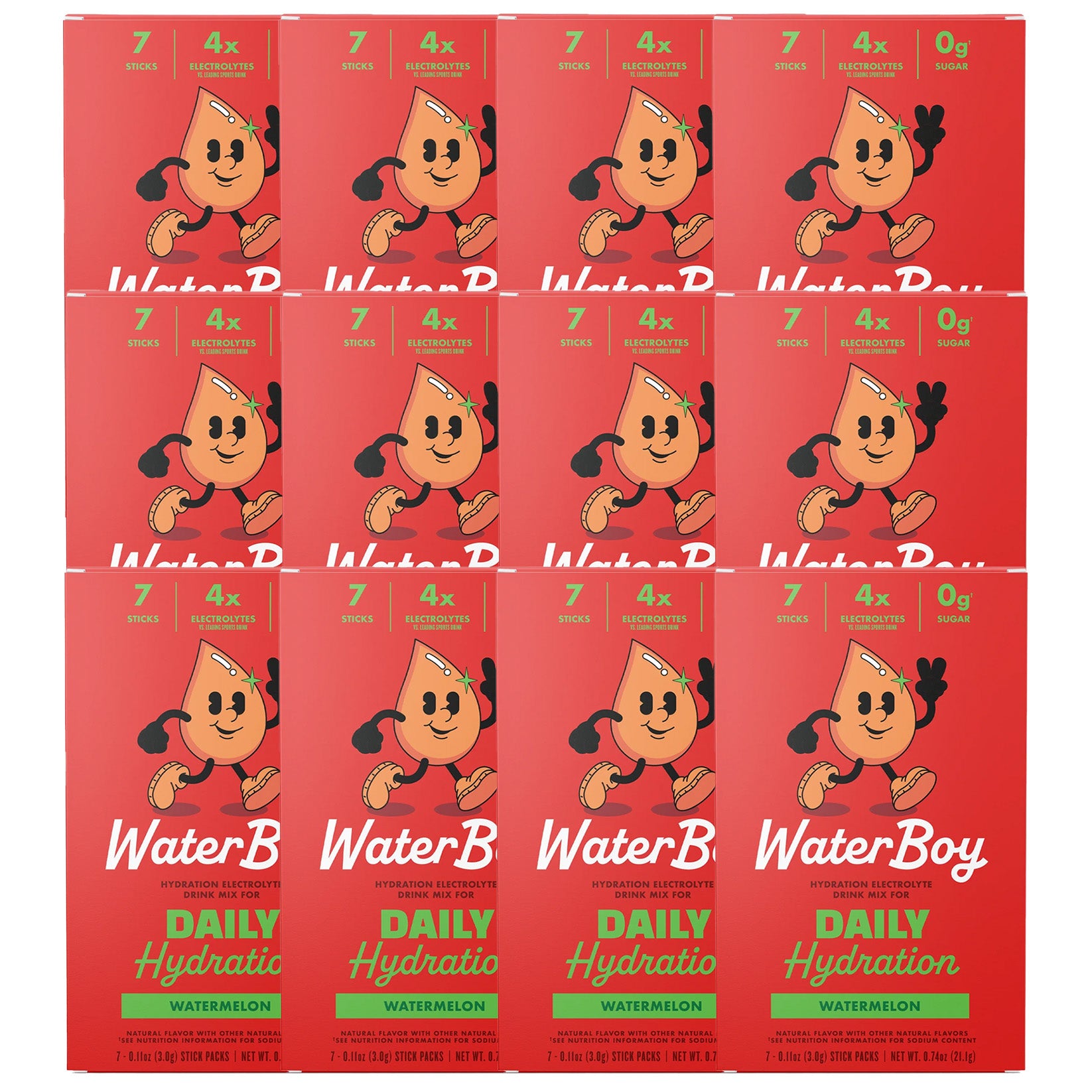 Waterboy Daily Hydration Electrolyte Drink Mix - 12 Sticks (Watermelon)