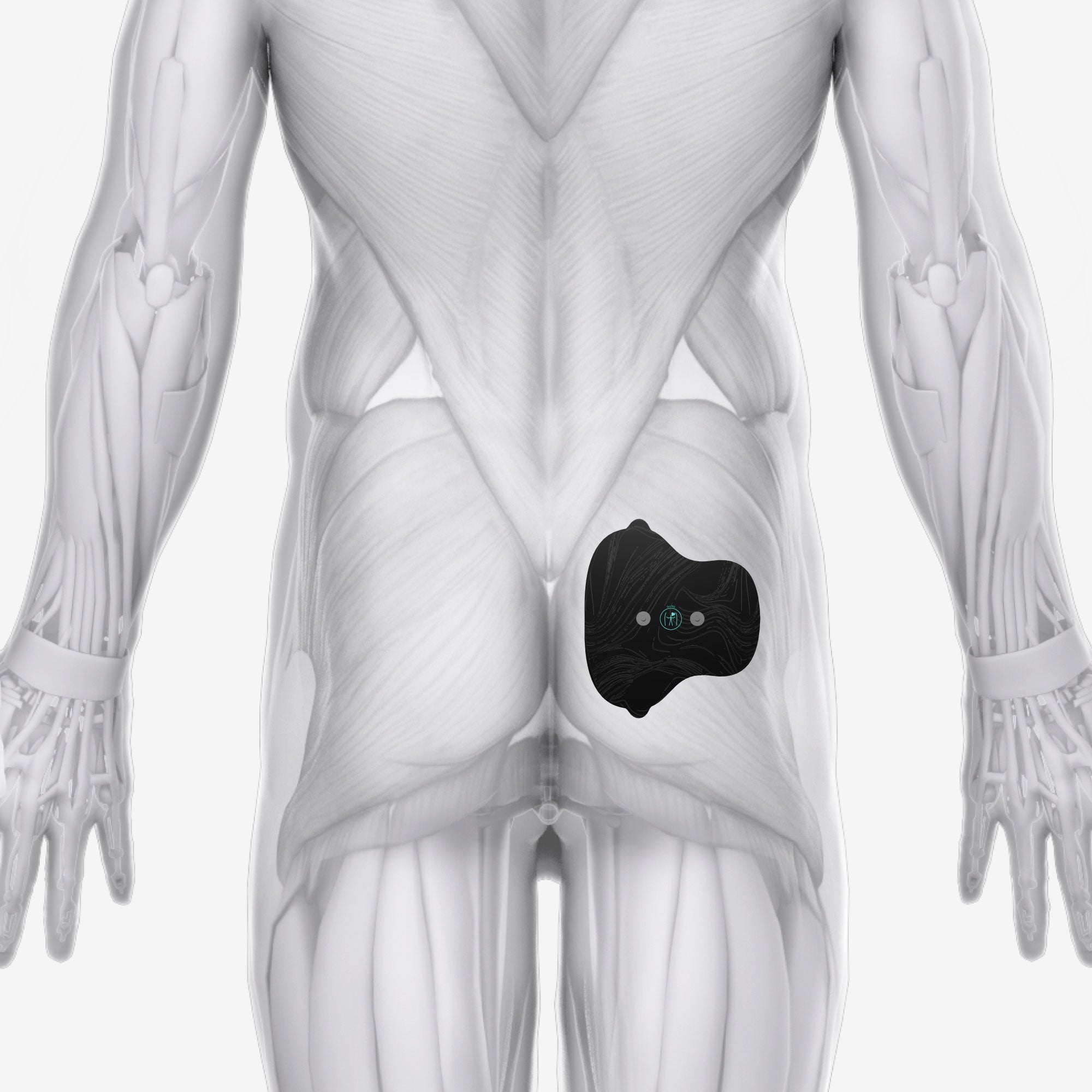 Chirp Halo™ Glute Pad Set