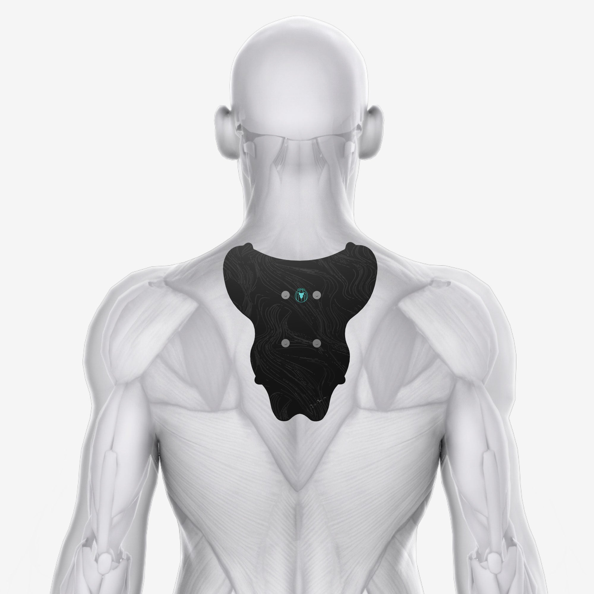 Chirp Halo™ Upper Body Bundle