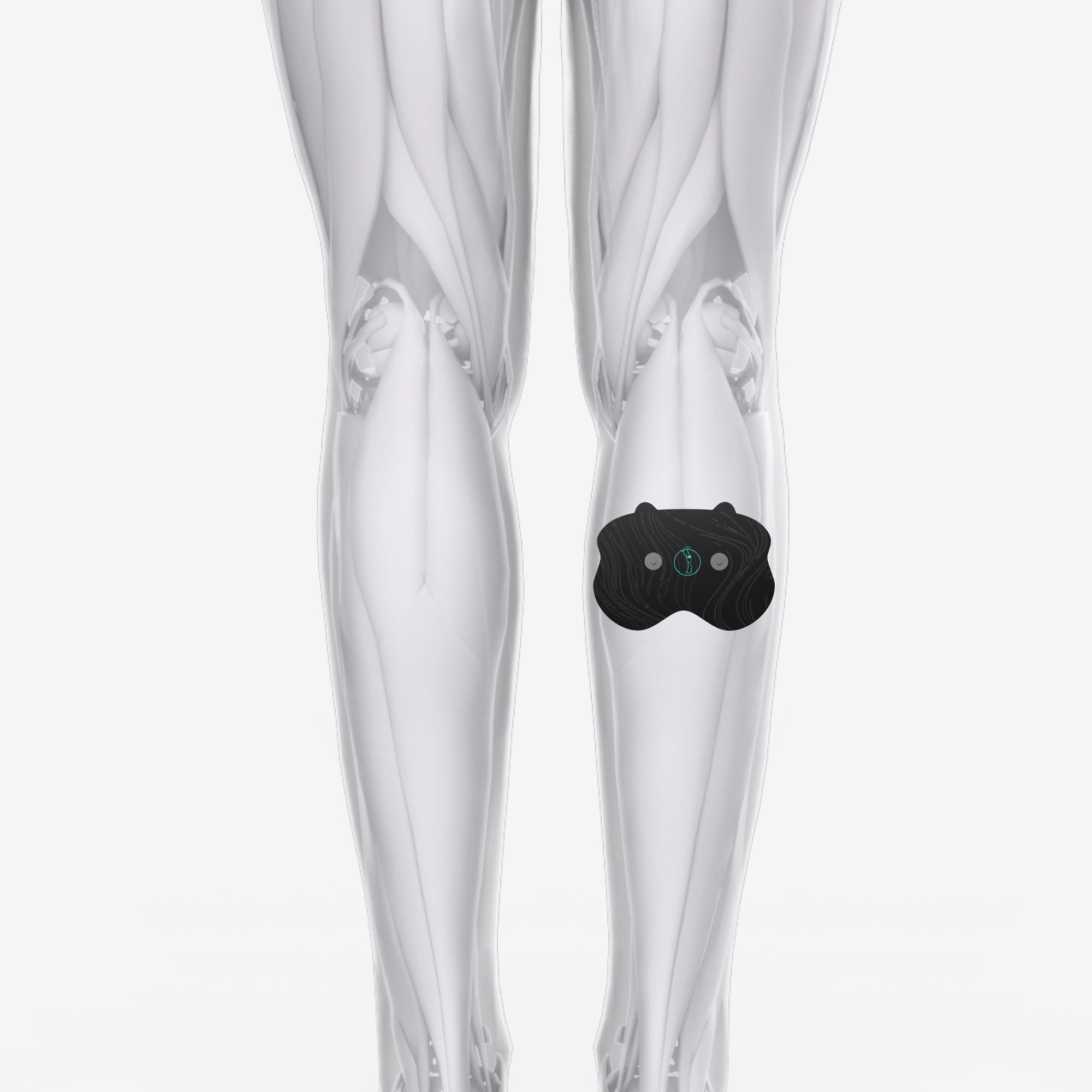 Chirp Halo™ Calf Pad Set