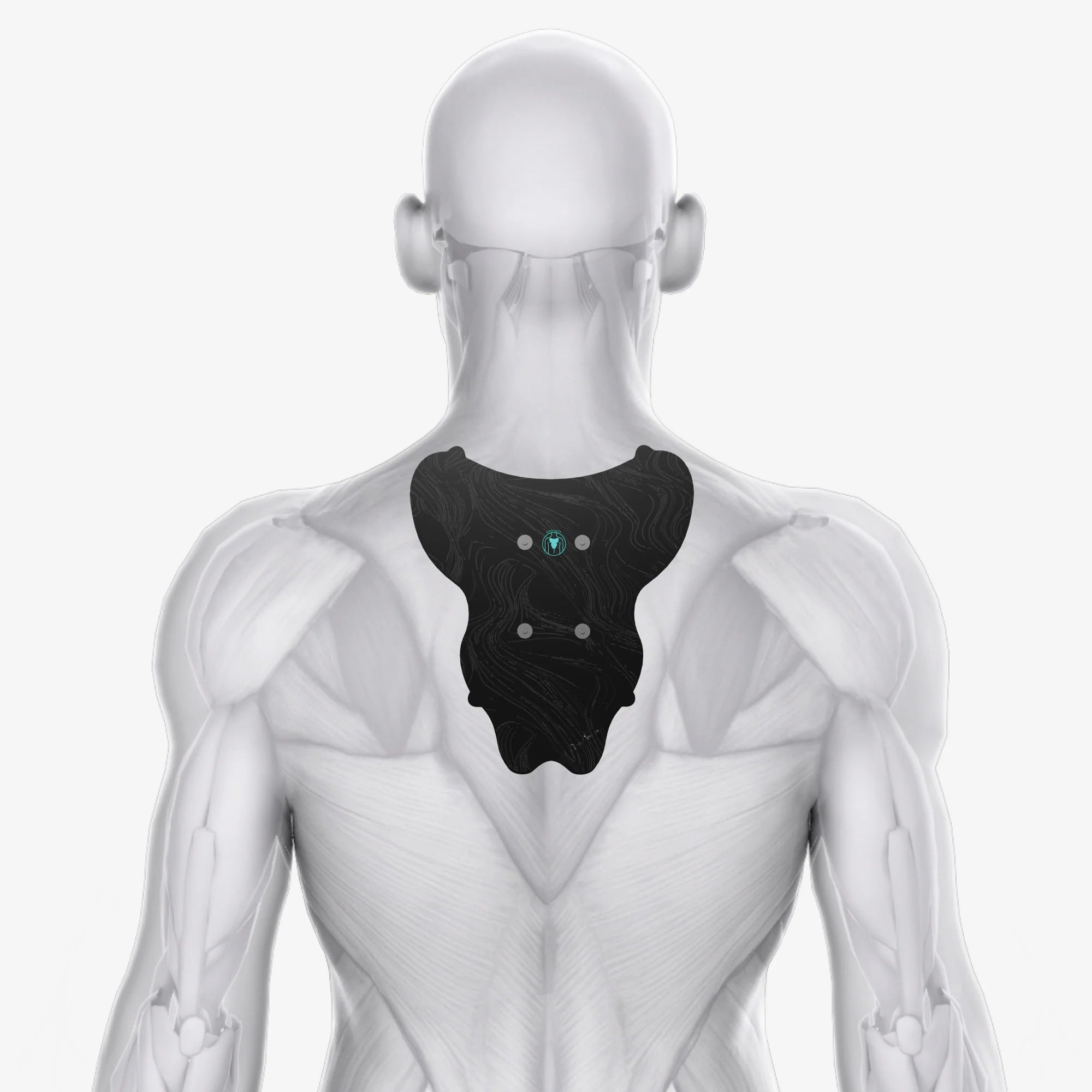 Chirp Halo™ Upper Back Pad Set