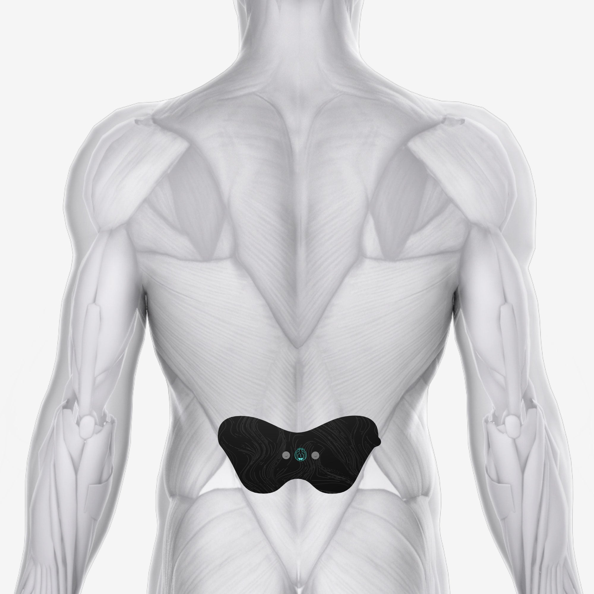 Chirp Halo™ Upper Body Bundle
