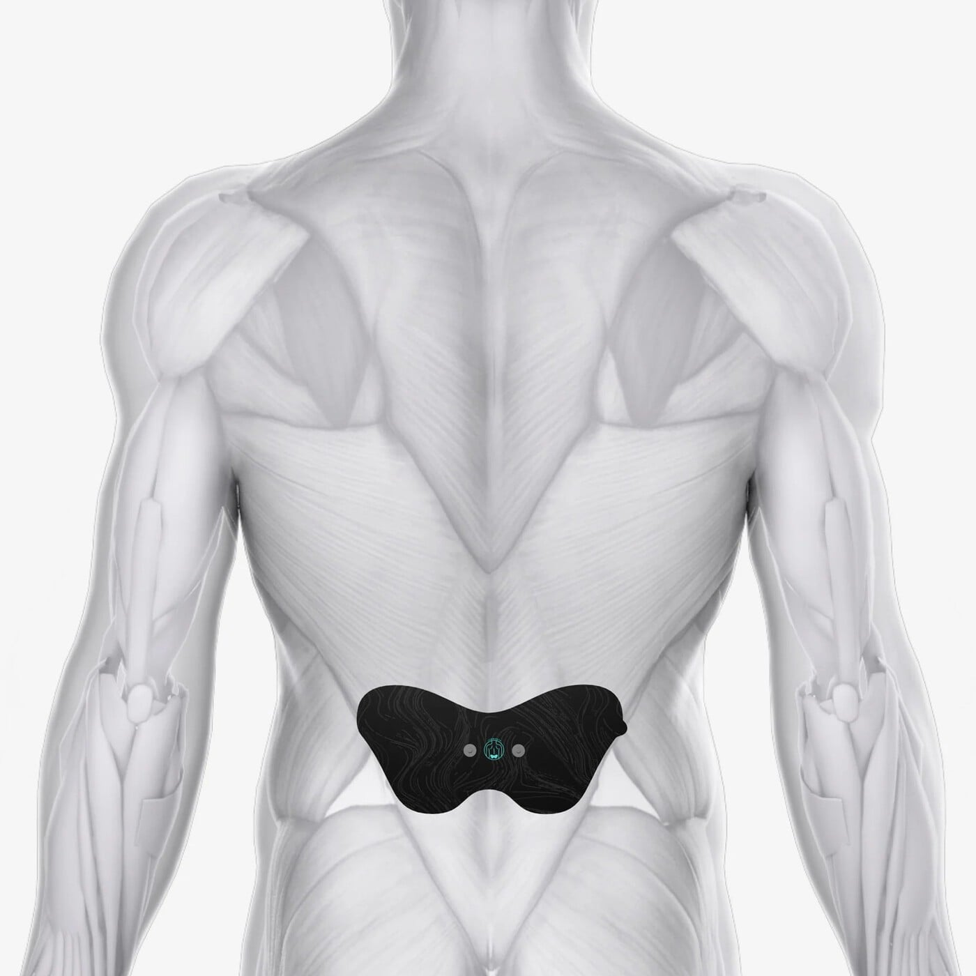 Chirp Halo™ Lower Back Pad Set