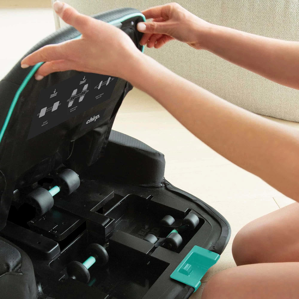 Chirp Contour™ Decompression & Massage Table