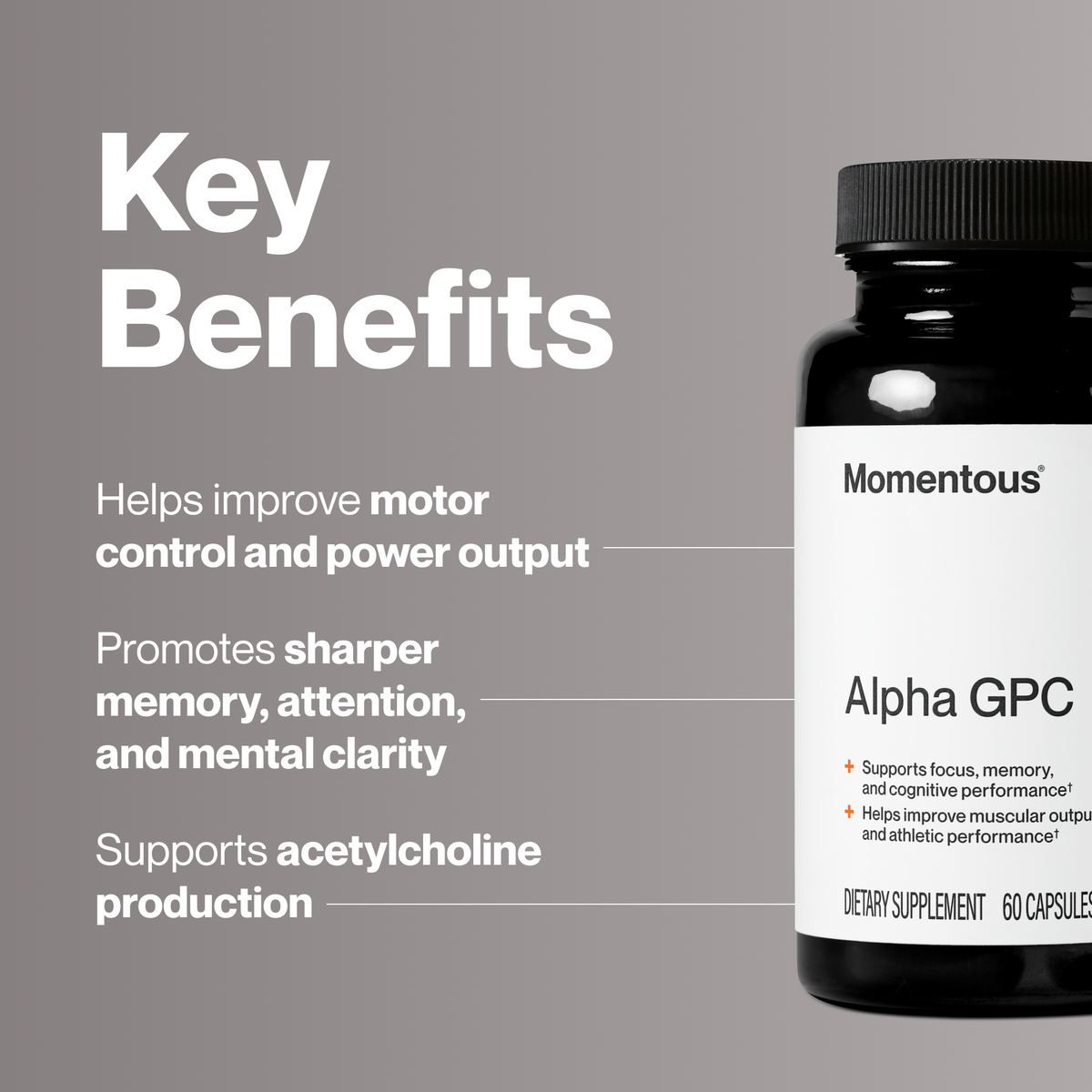 Momentous Alpha GPC 300 mg with AlphaSize®, Cognitive Support | 60 Capsules — manufacturer product information