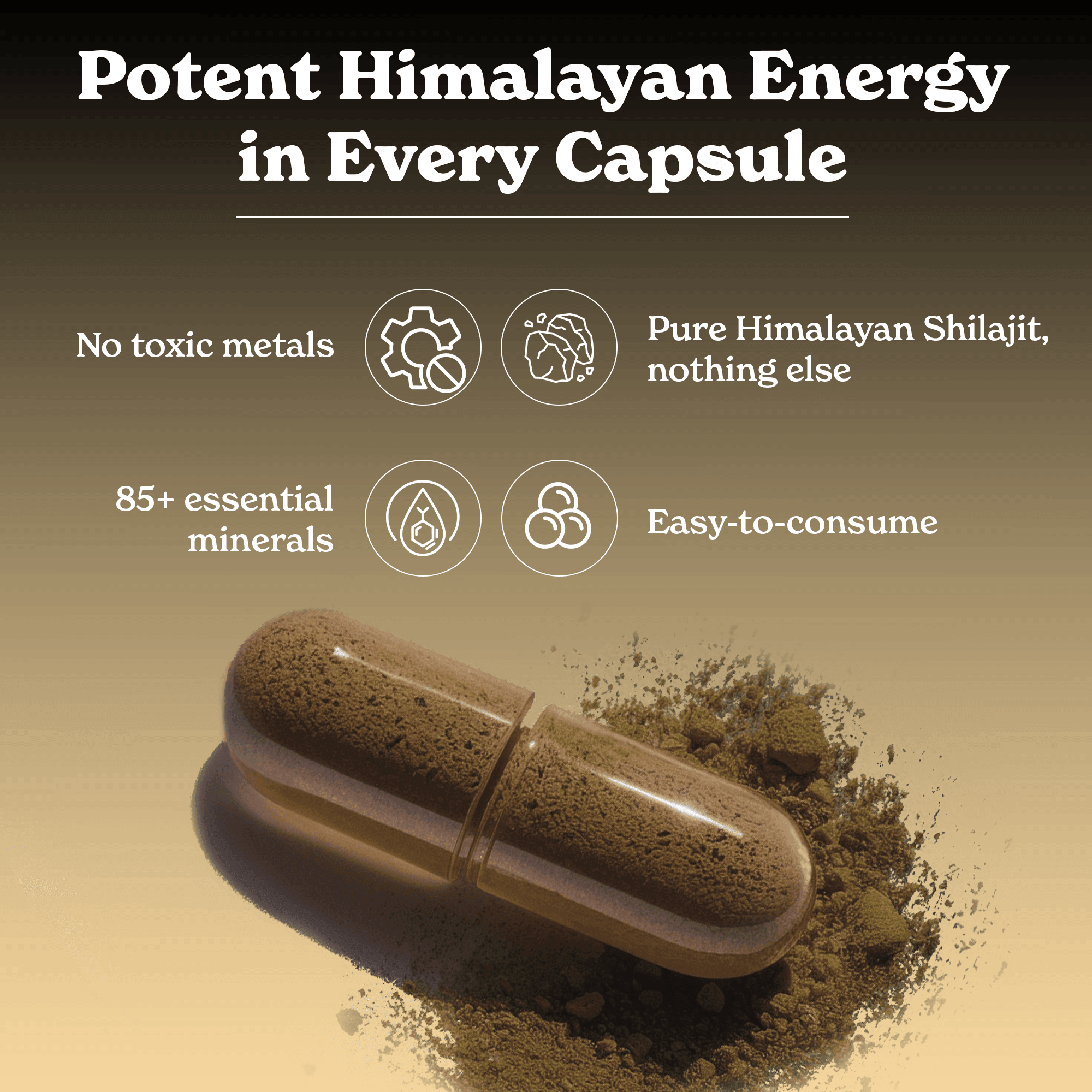 BetterAlt Pure Himalayan Shilajit Capsules for Energy & Stamina (1000mg)