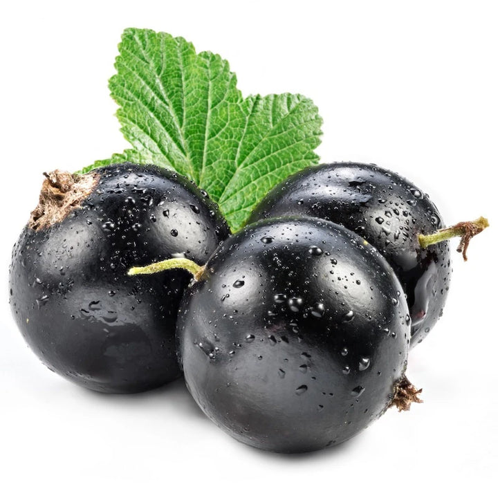 blackcurrant aroma