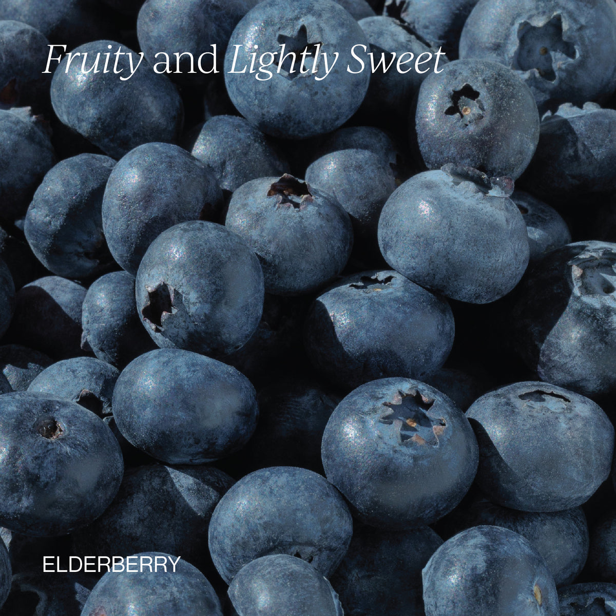 Cymbiotika® Elderberry Immune Support & Defense Oil