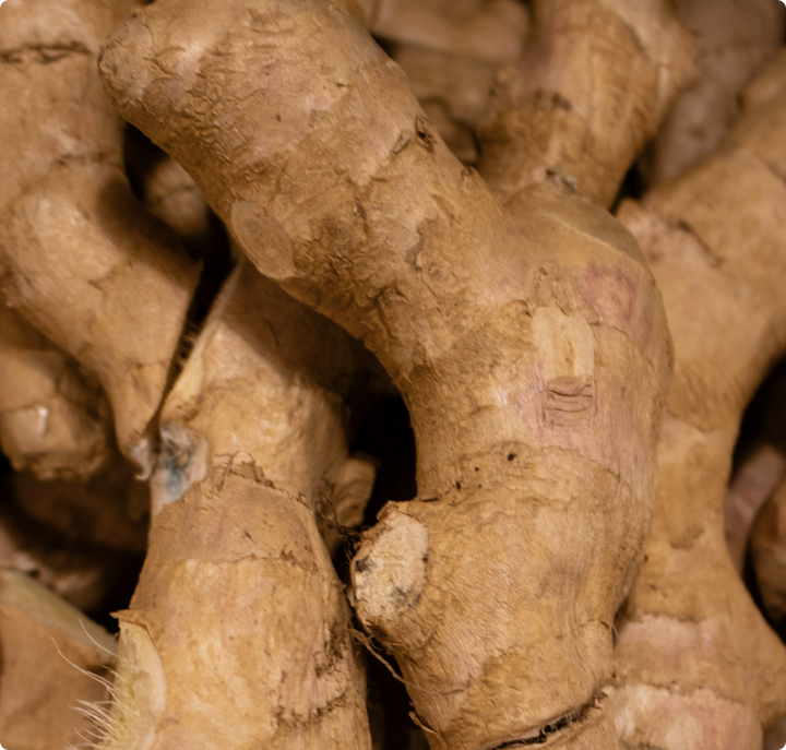 Ginger root
