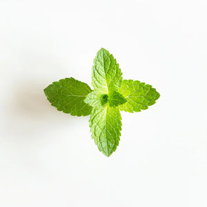 Organic Peppermint