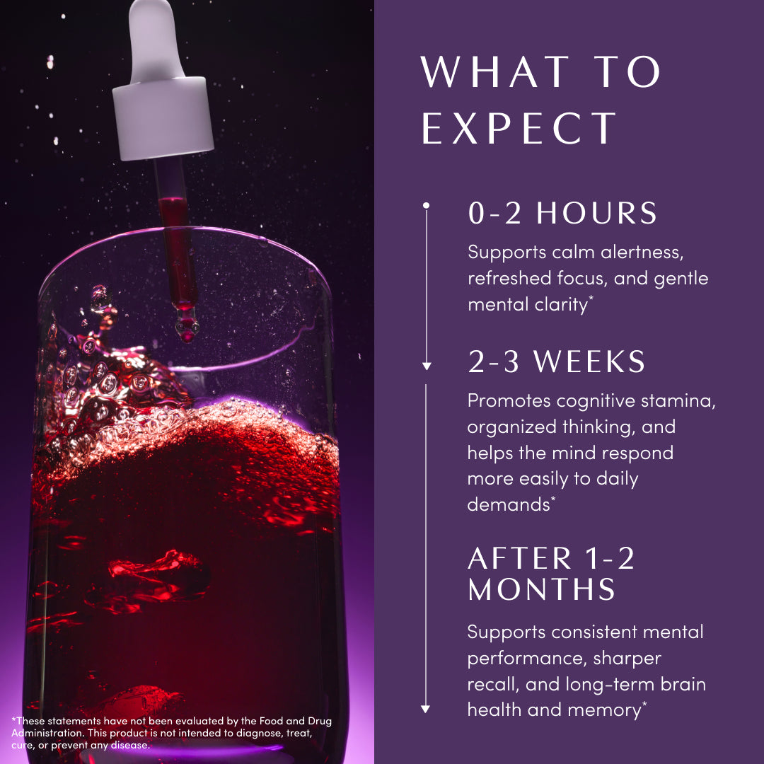 Apothékary Mindcraft™ Longevity & Brain Support Liquid Herbal Drops