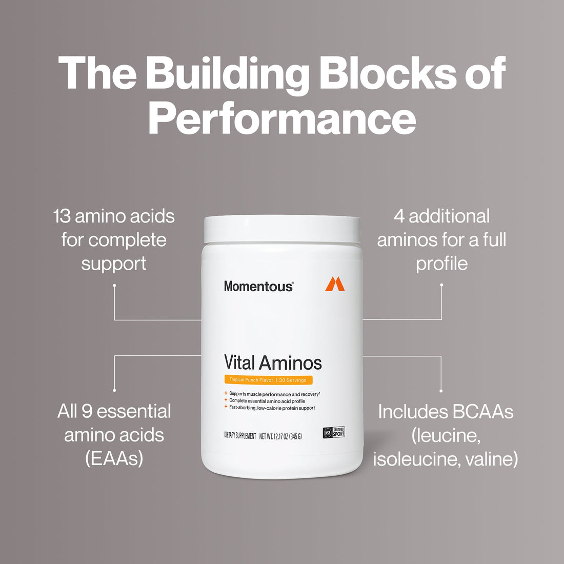 Momentous Vital Aminos Essential Amino Acids | Tropical Punch, 30 Servings — front product image