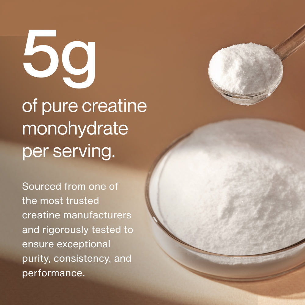 Momentous Creatine Monohydrate Powder (90 Serving Jar) - NSF Certified For Sport