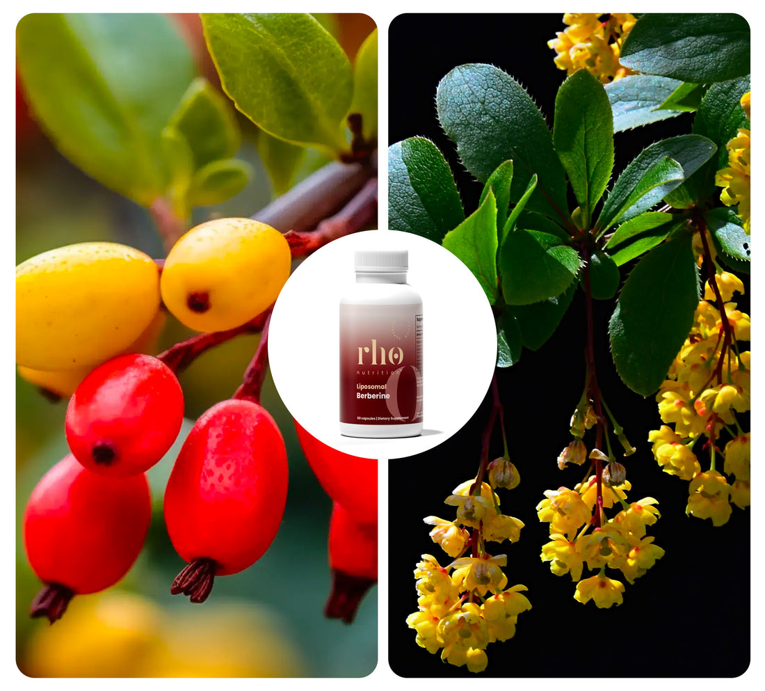 Rho Nutrition Liposomal Berberine (60 Servings)