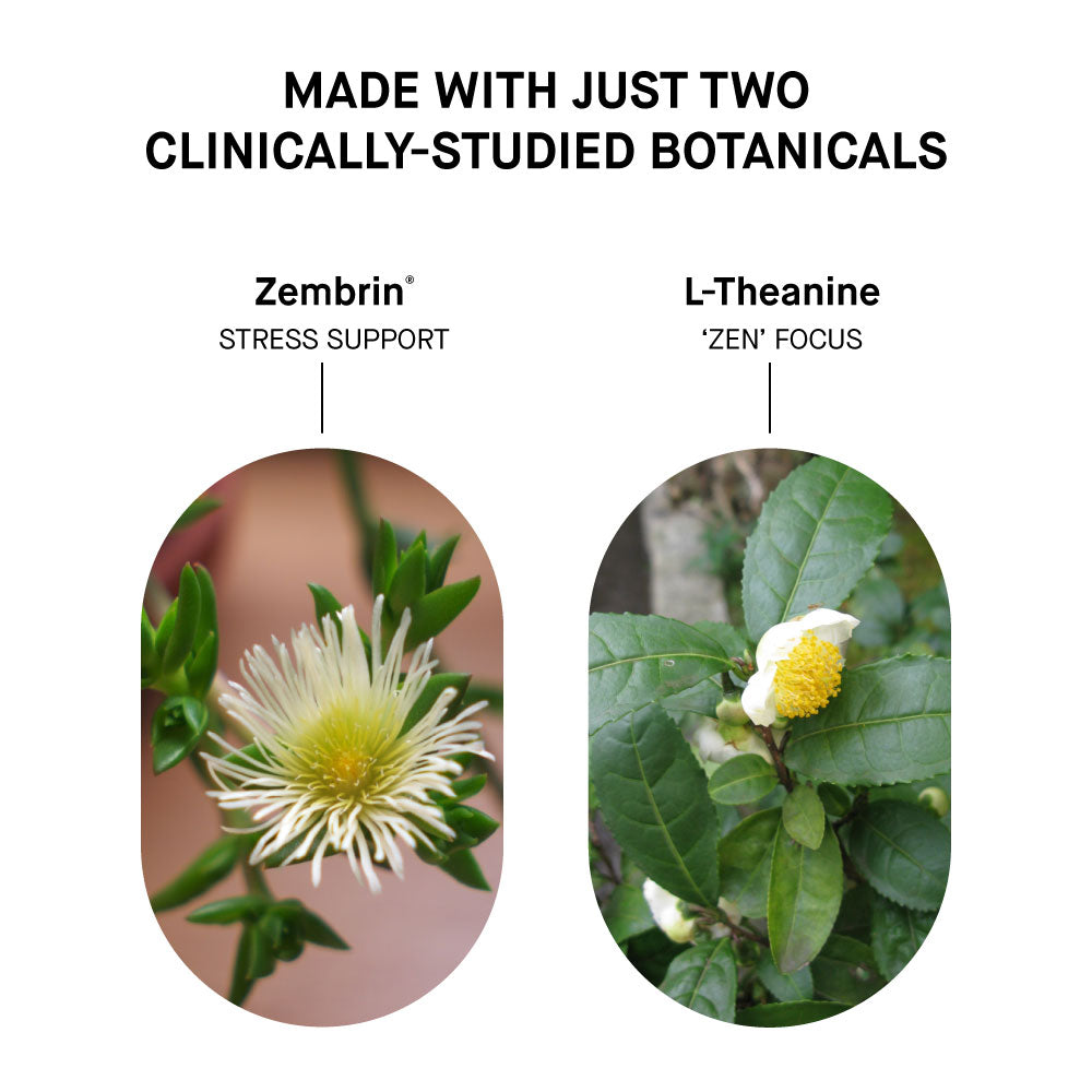 Ananda Professional Stress Shot