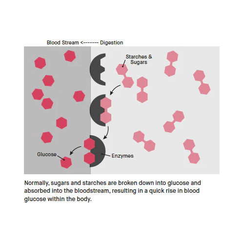 Ananda Professional - GluNOzym - Natural Way to Lower Blood Sugar