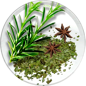 TEA TREE, CLOVE & OREGANO