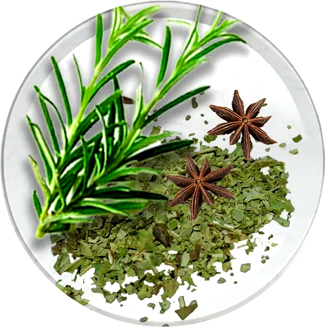 TEA TREE, CLOVE & OREGANO