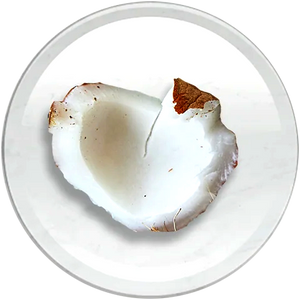 FRACTIONATED COCONUT OIL
