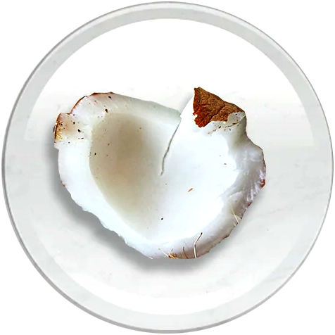 FRACTIONATED COCONUT OIL