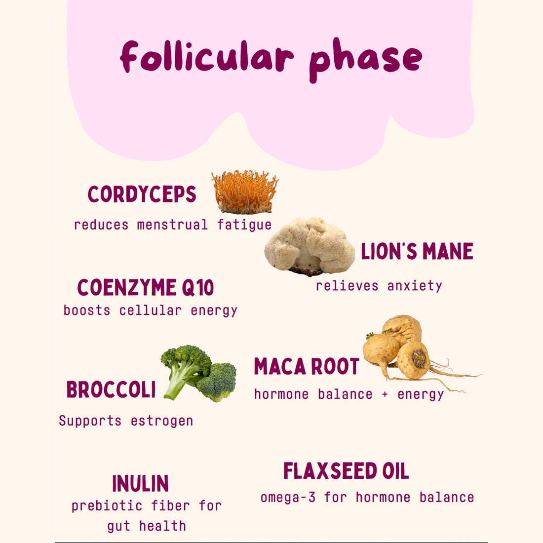 Baker's Botanics Follicular Phase Replacement Bags
