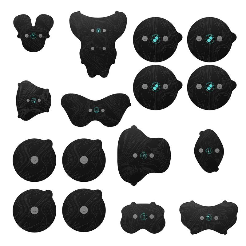 Chirp Halo™ Full Body Bundle