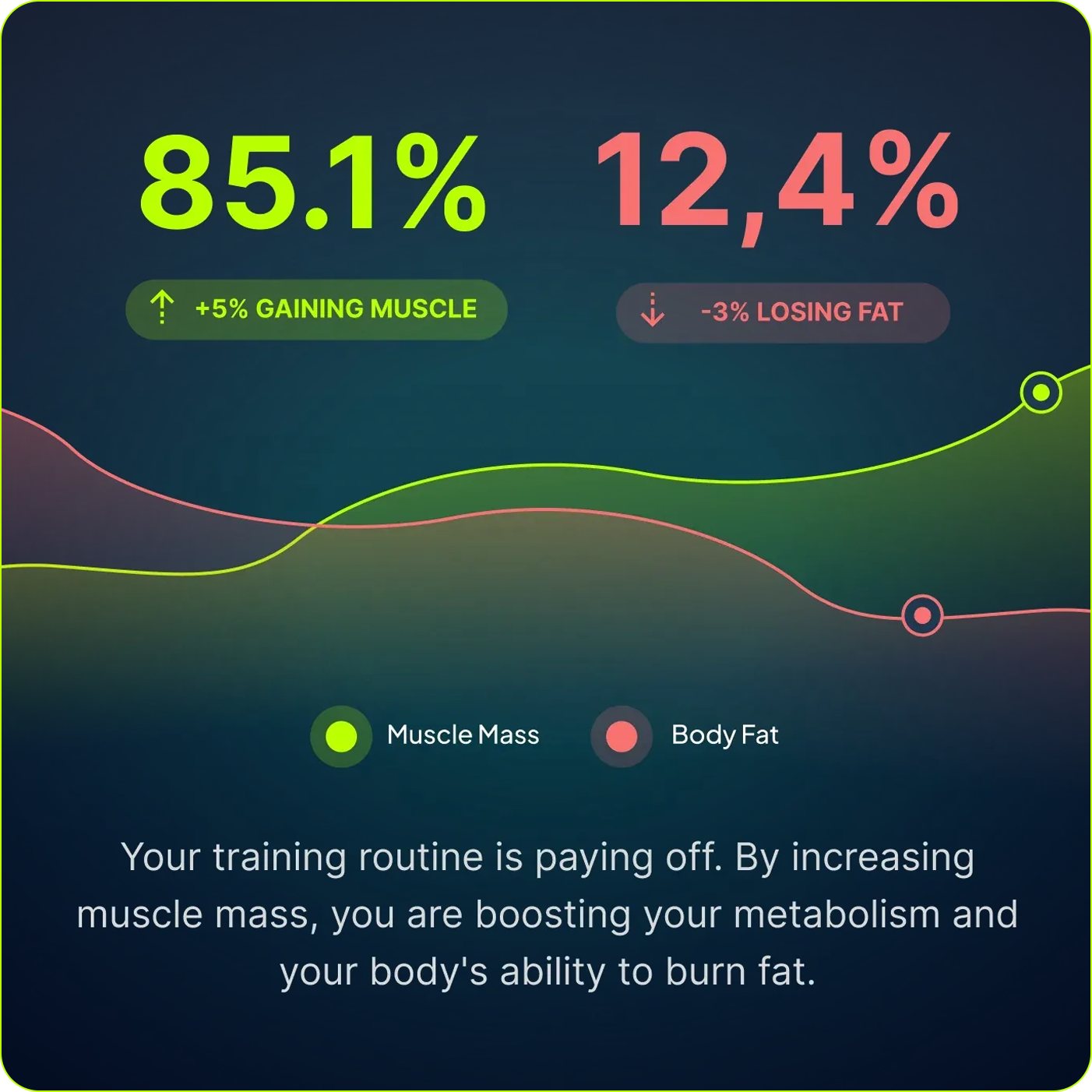 Gain Muscle & Lose Fat