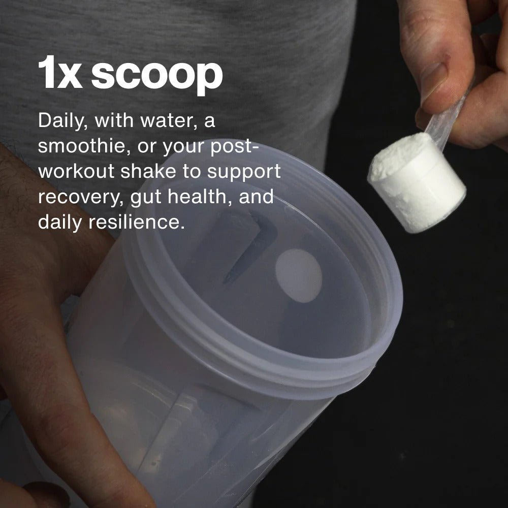 Momentous L-Glutamine Powder 5g, Gut & Recovery Support | 60 Servings