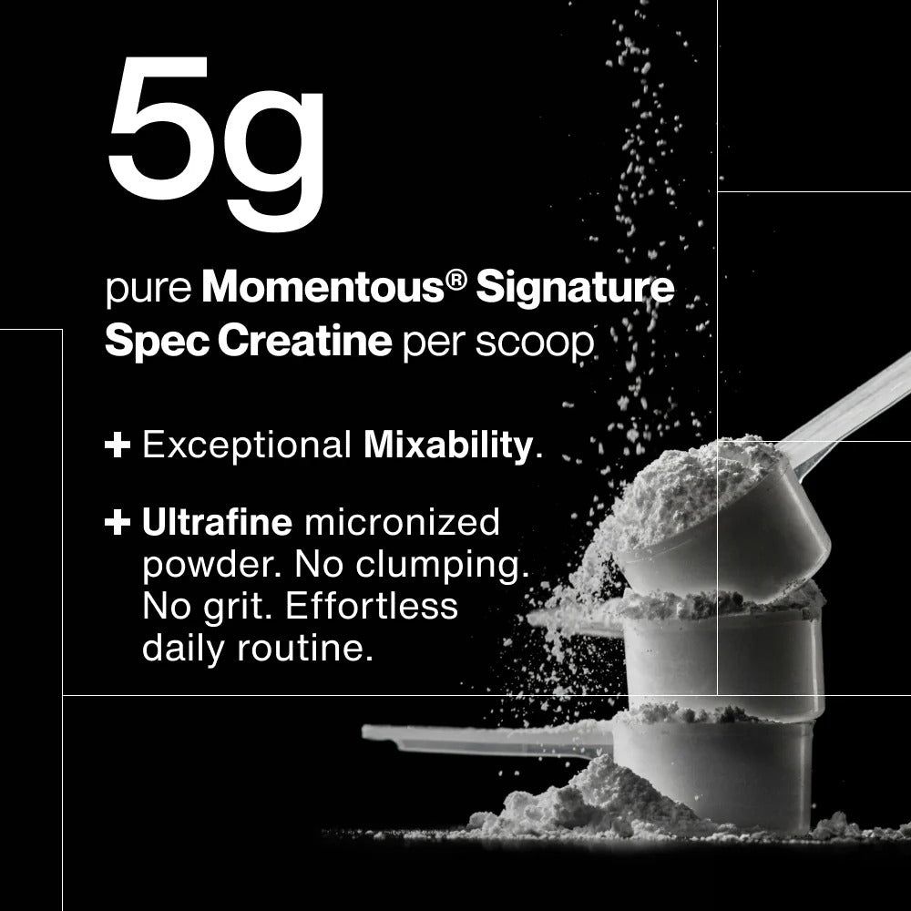 Momentous Creatine Monohydrate Powder (90 Serving Jar) - NSF Certified For Sport