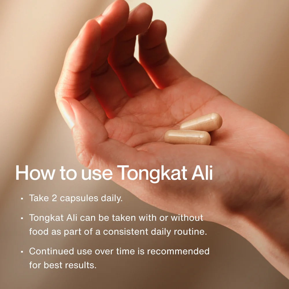 Momentous Tongkat Ali 400 mg Capsules, Hormone Support | 60 Count