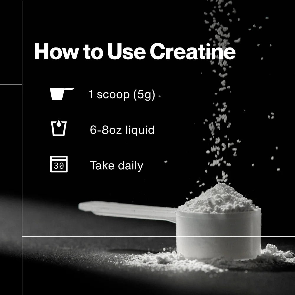 Momentous Creatine Monohydrate Powder (90 Serving Jar) - NSF Certified For Sport