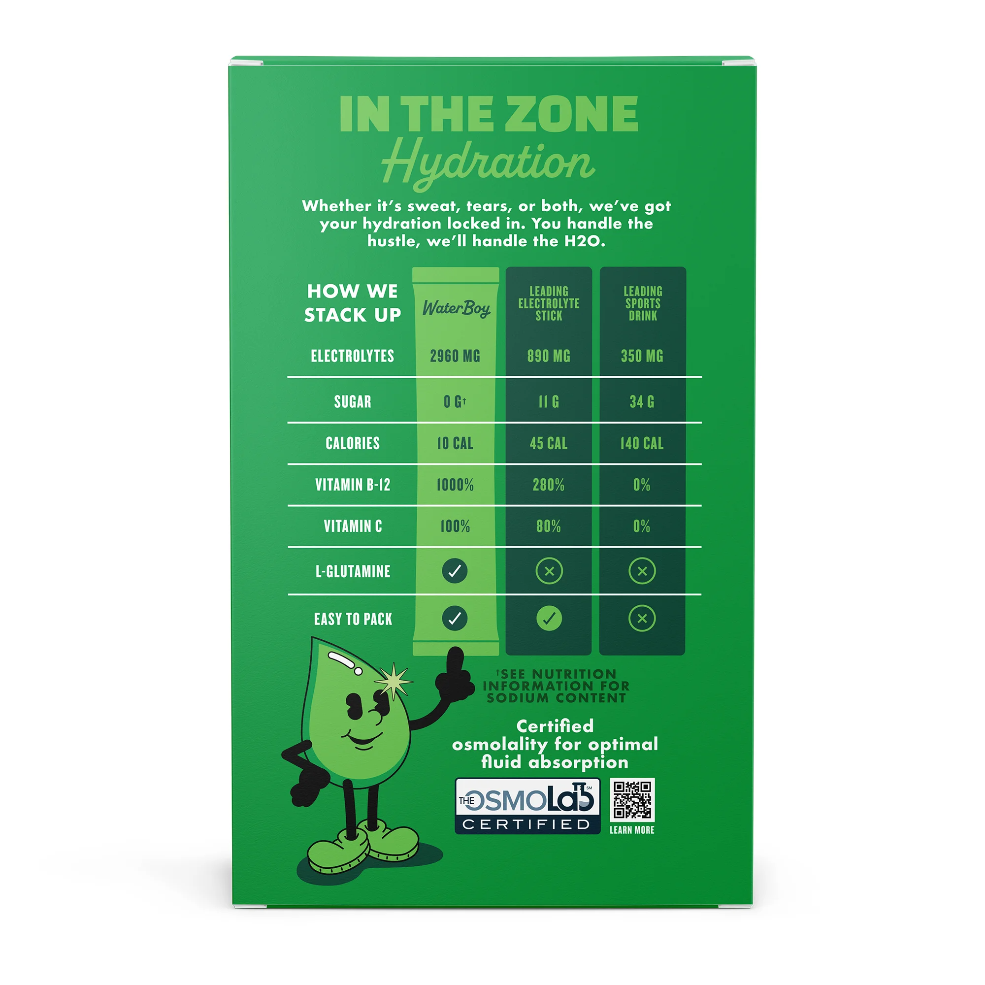 Waterboy Workout Hydration Electrolyte Drink Mix - 10 Sticks (Lemon Lime)