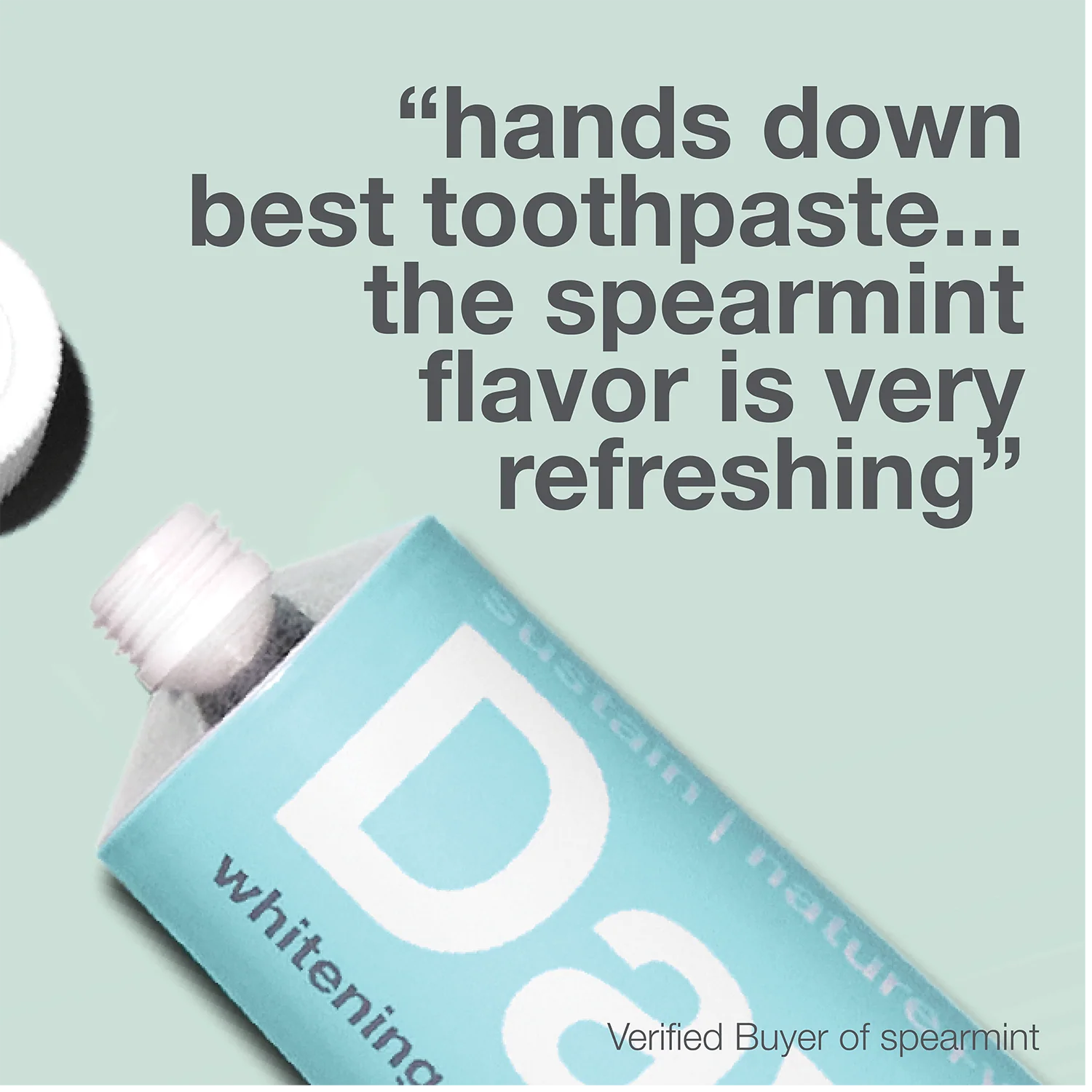 Davids Premium Toothpaste (Spearmint)