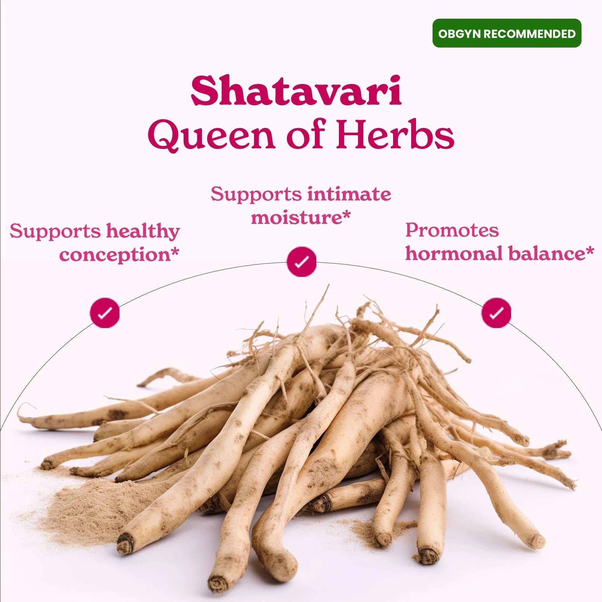 BetterAlt Women's SHE-Lajit Honey Sticks for Hormonal Balance & Energy (Strawberry)