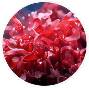 Astaxanthin (AstaZine®)