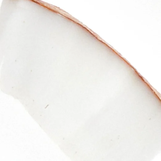 +coconut