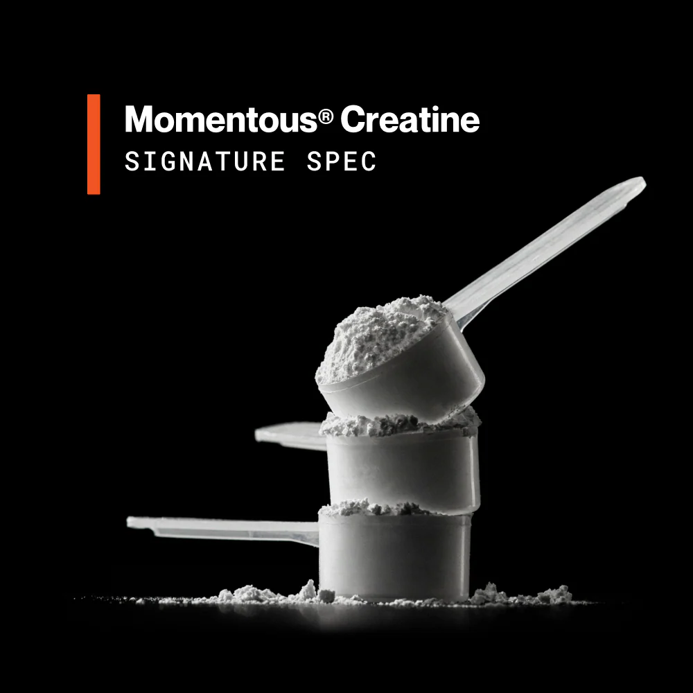 Momentous Creatine Monohydrate Powder (90 Serving Jar) - NSF Certified For Sport