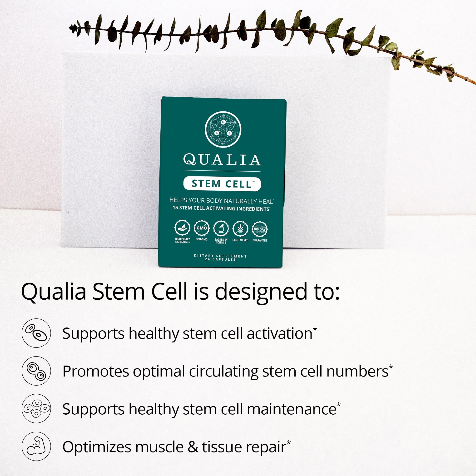 Qualia Stem Cell™ - Stem Cell Support for Renewal & Repair