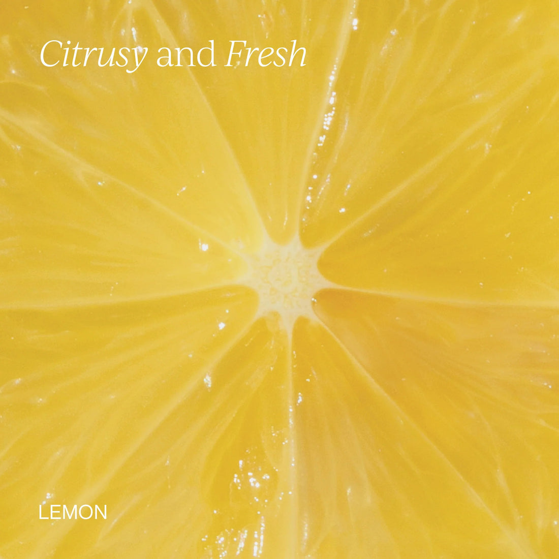 Cymbiotika® The Omega