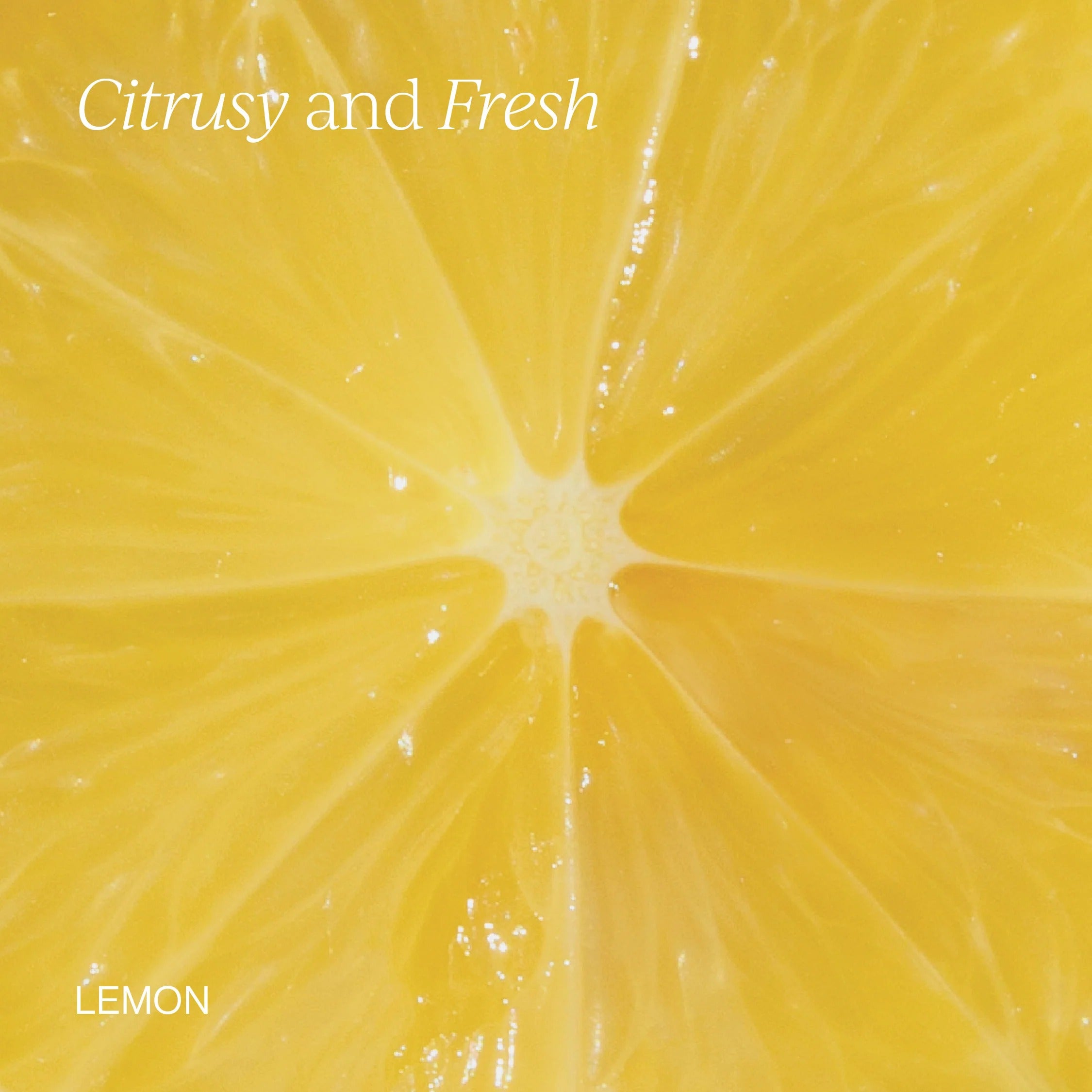 Cymbiotika® The Omega