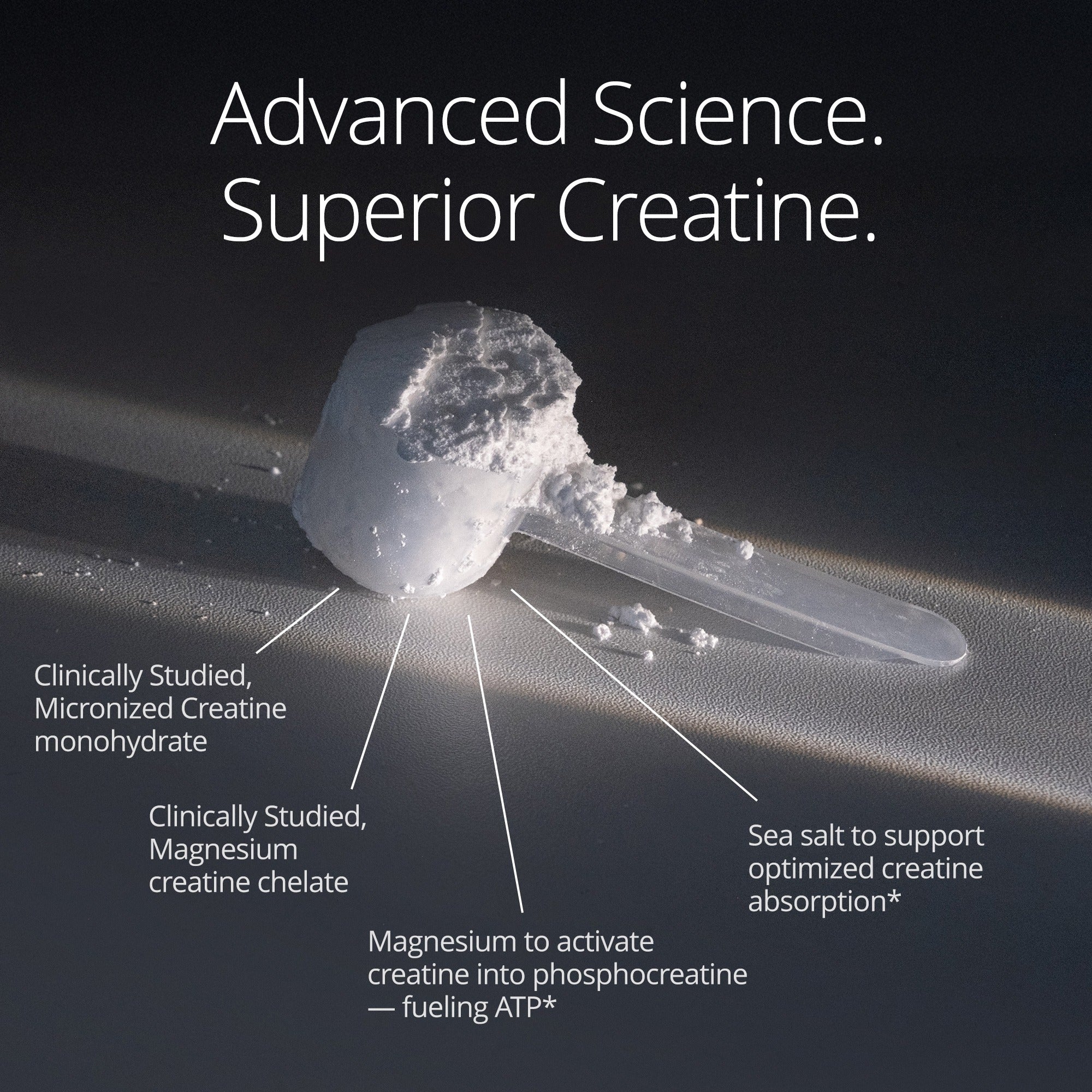 Qualia Creatine+ | Advanced Creatine for Strength & Brain