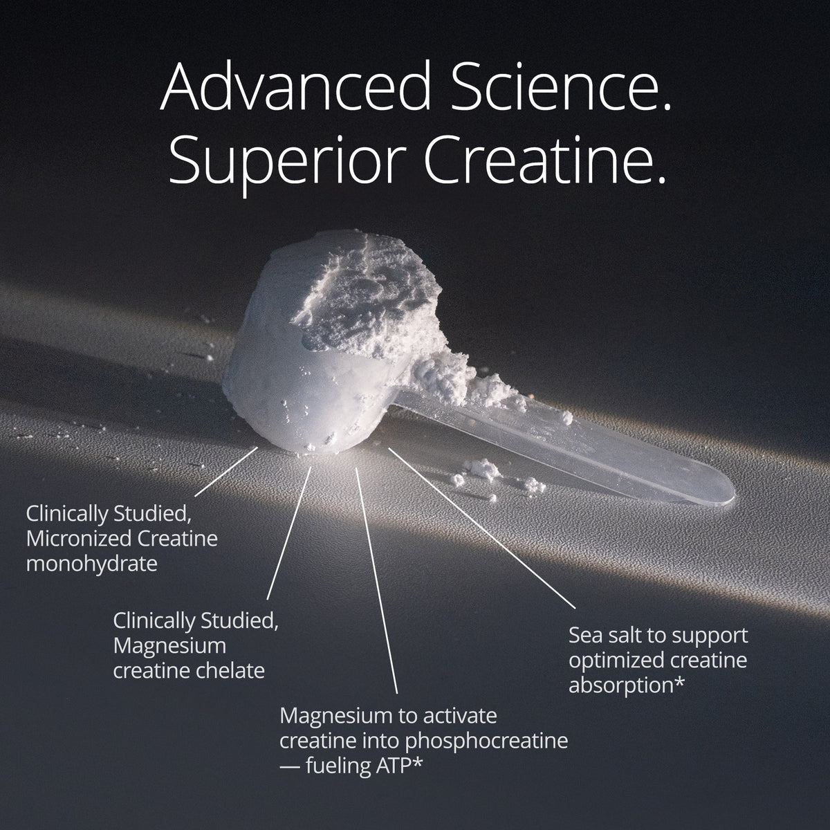 Creatine Form Qualia Creatine+ Muscle & Brain Health - HSA/FSA Eligible – Pharmalynk ...