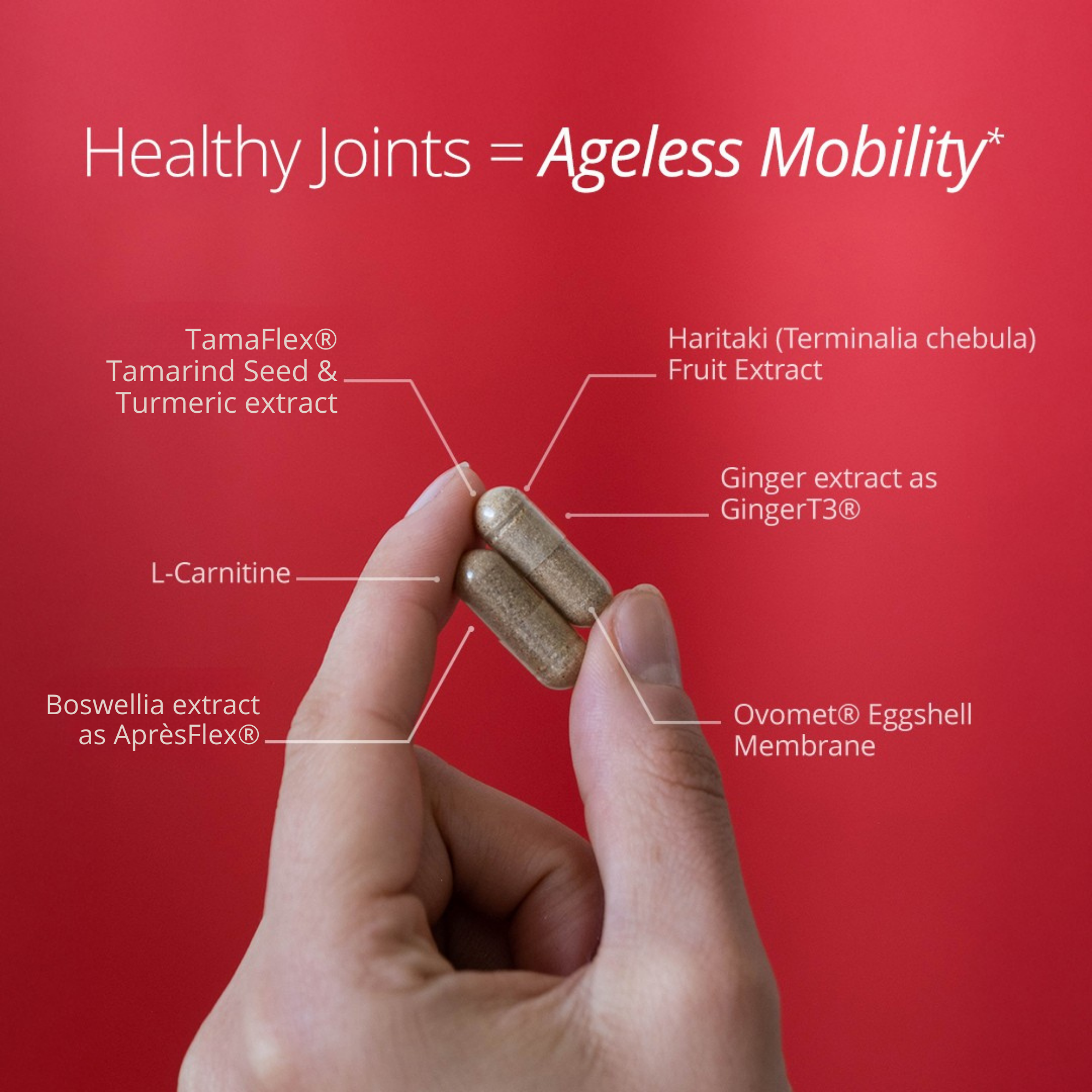 Qualia Joint Health - Supports Comfort, Function & Mobility